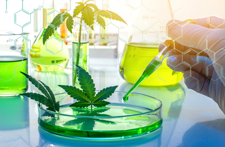 Scientific Cannabis