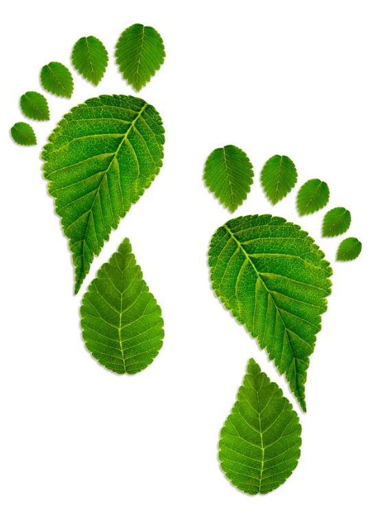Green Footprint