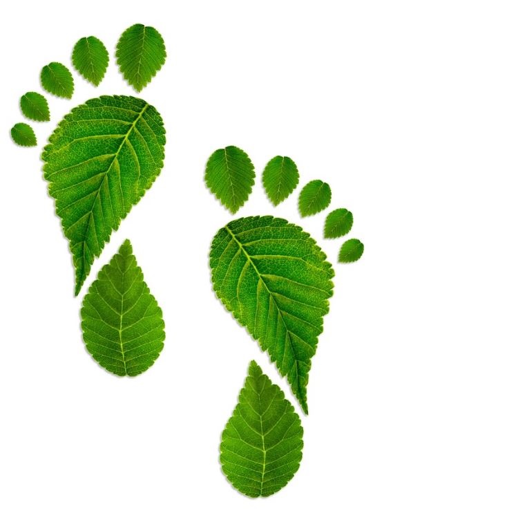 Green Footprint