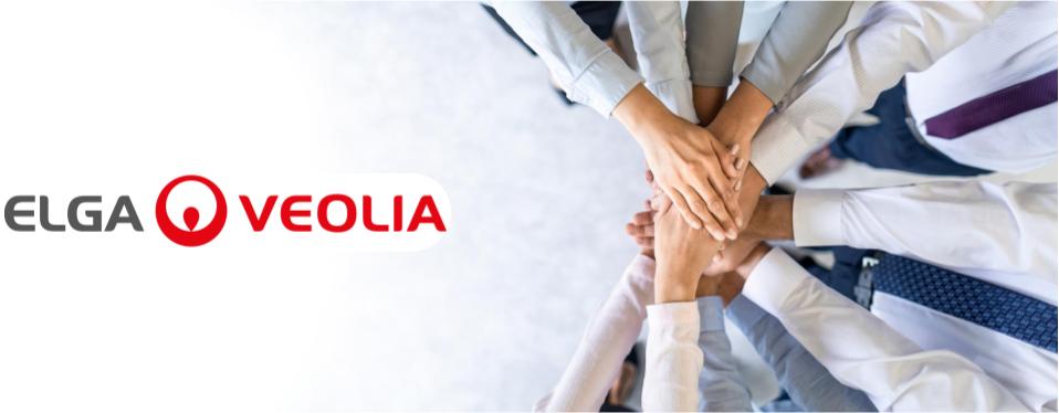 ELGA Teamwork at christmas