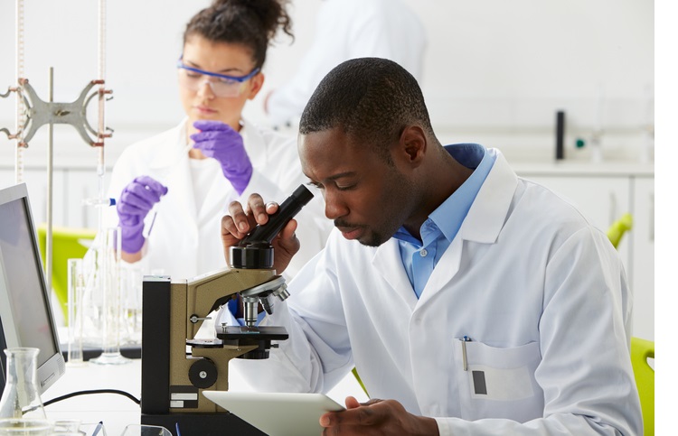 Technicians Carrying Out Research In Laboratory