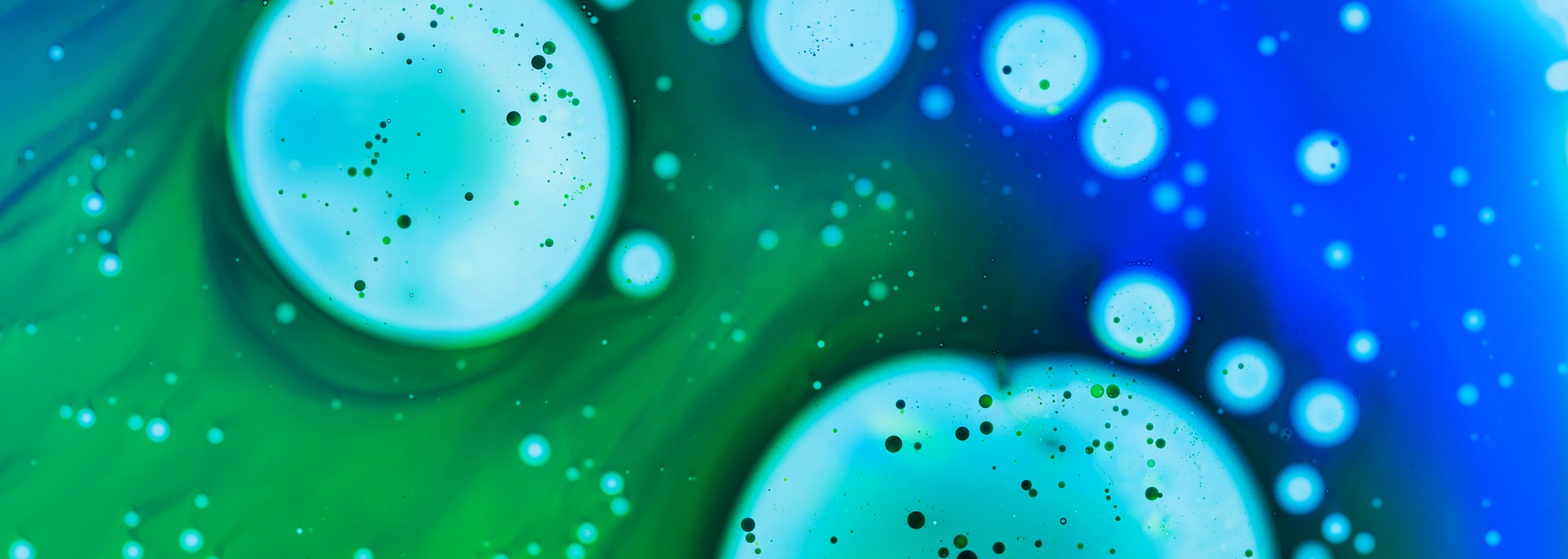 Microorganismos y bacterias