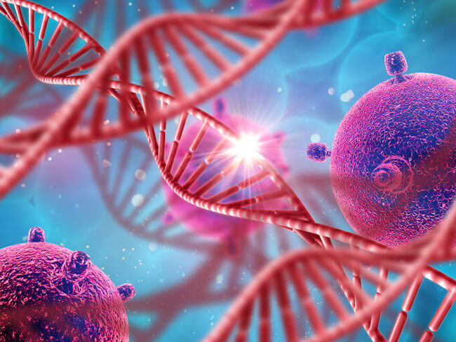 DNA