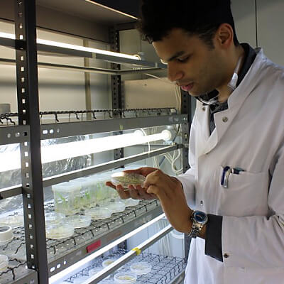 Student mit einer Probe in der Klimakammer des Mikrobiologielabors der Uni Hamburg