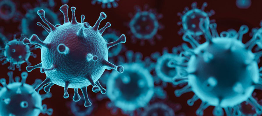 Pathogene Viren, die Infektionen im Wirtsorganismus verursachen, 3D-Illustration