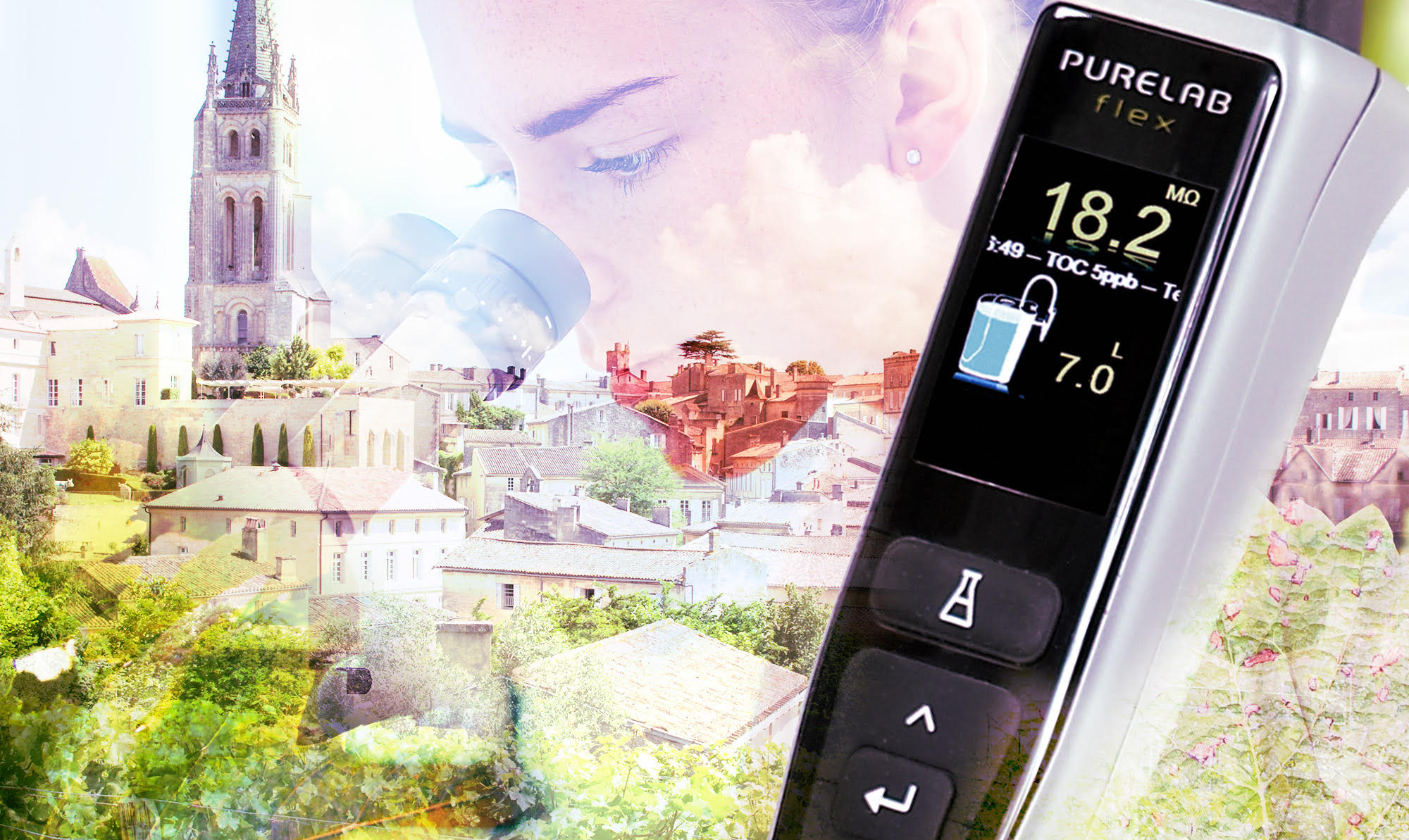 controlling pathogens using natural grapevines extracts