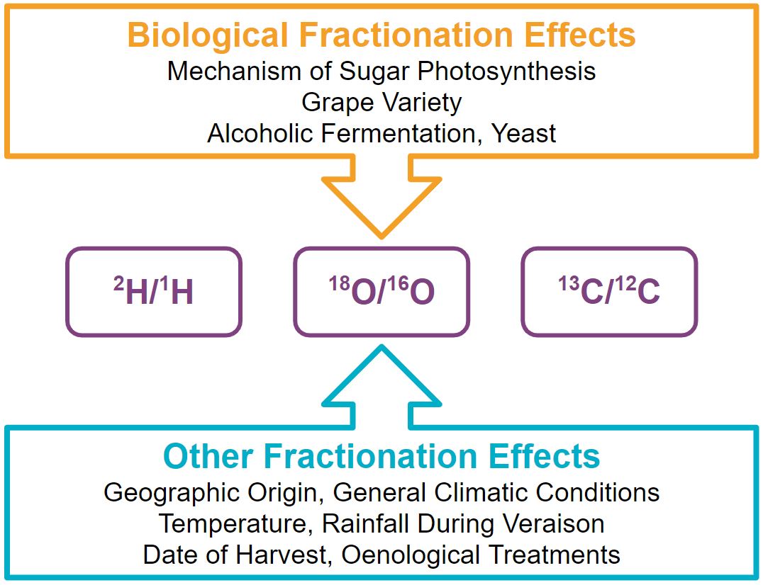 Analytical chemistry of wine - SIRA