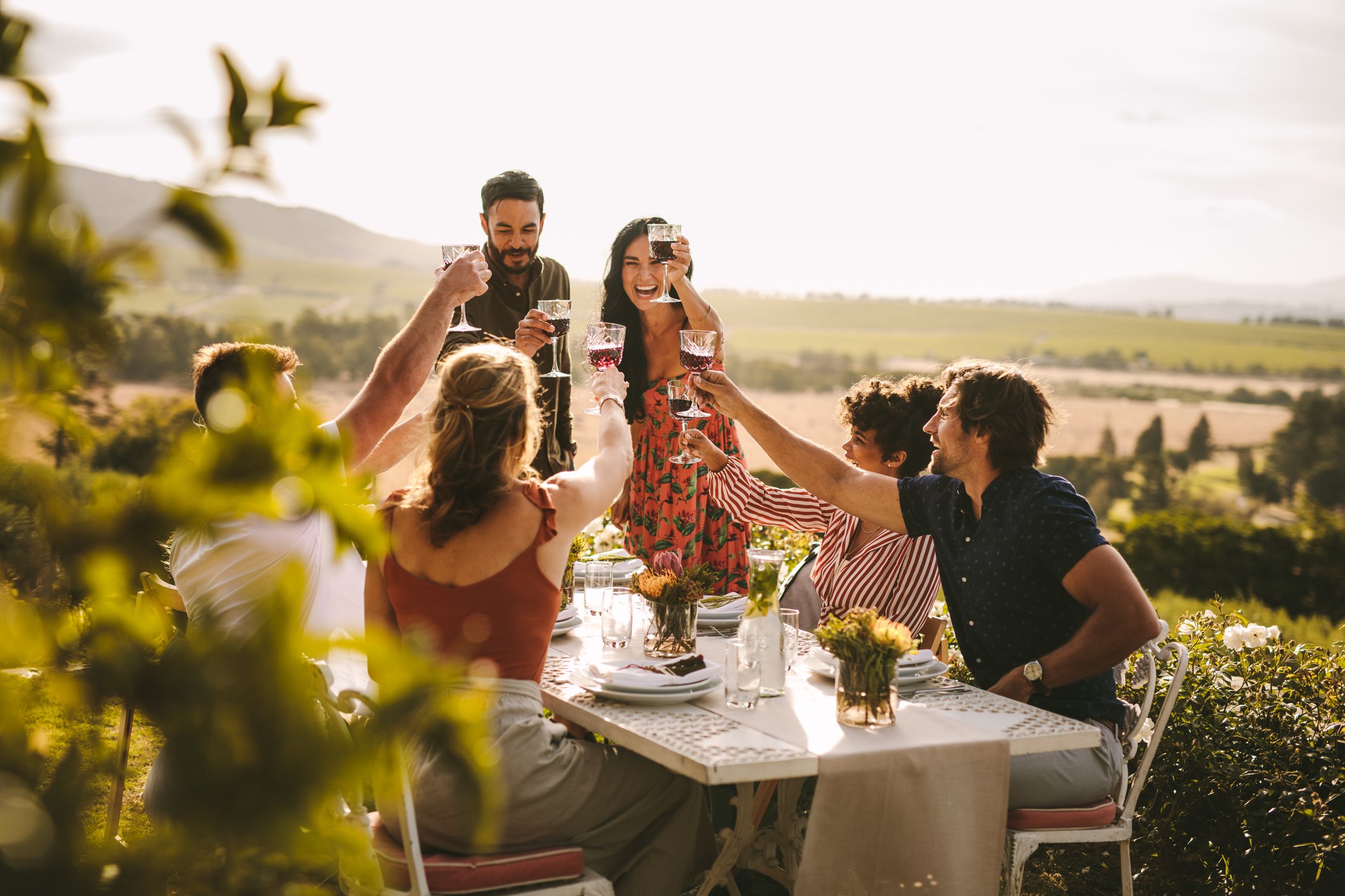 Group of people toasting wine during a dinner party.