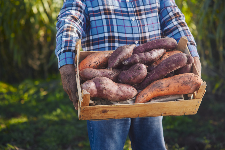 Sweet potatoes