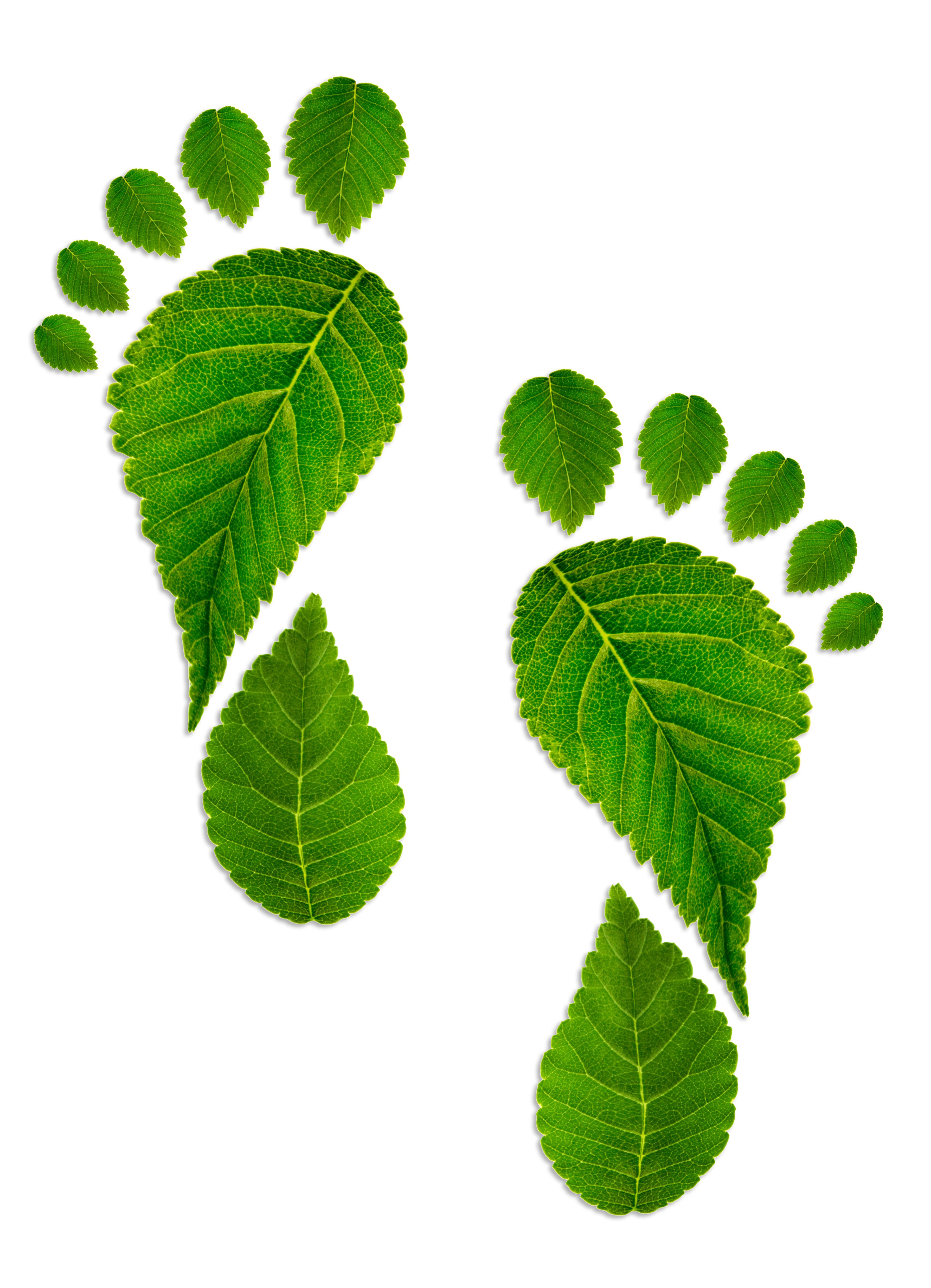 Environmental Footprint