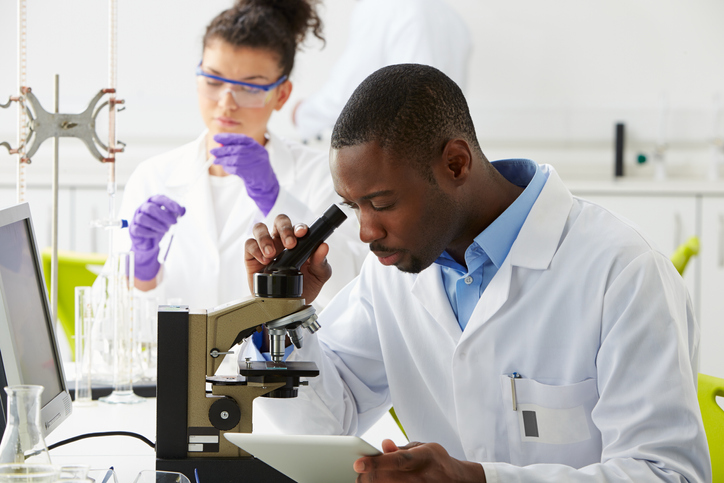 Technicians Carrying Out Research In Laboratory