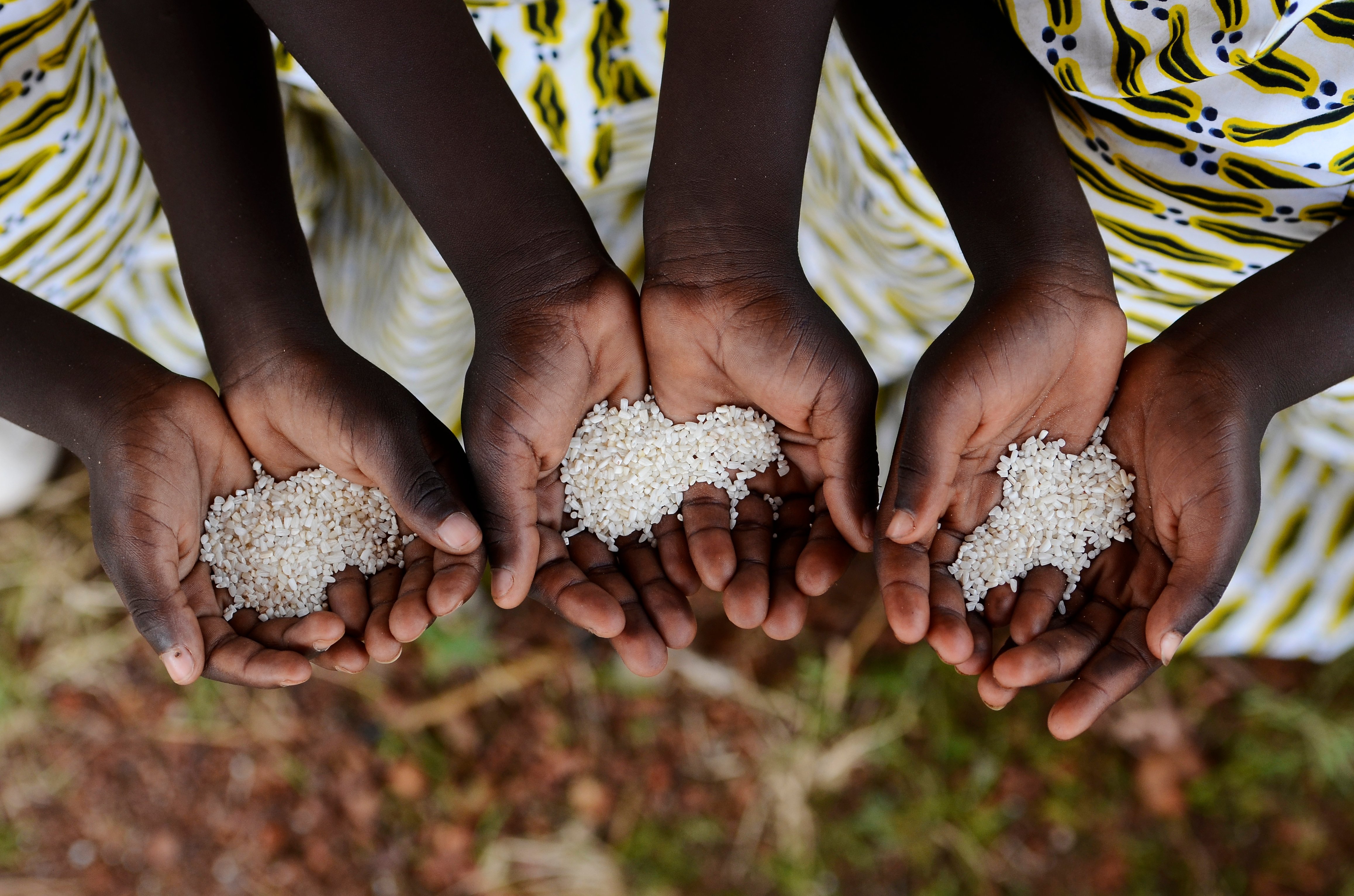 Children Holding Rice 