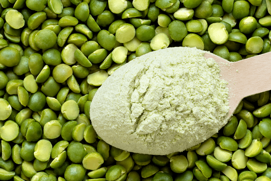 Organic Dry Pea The Sustainable Protein Powerhouse of the Future