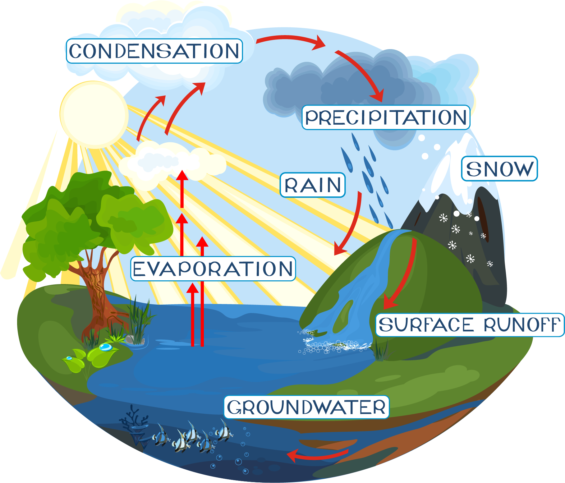 Cycle de l'eau