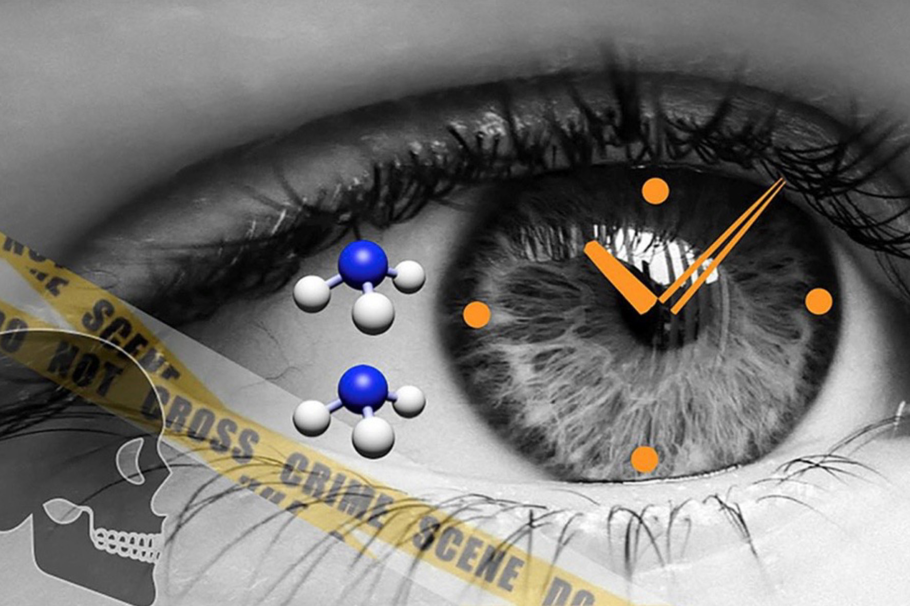 When did he die? Paper-based micro-fluidic devices for forensic sciences