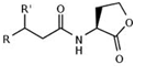 acyl homoserine lactones structure