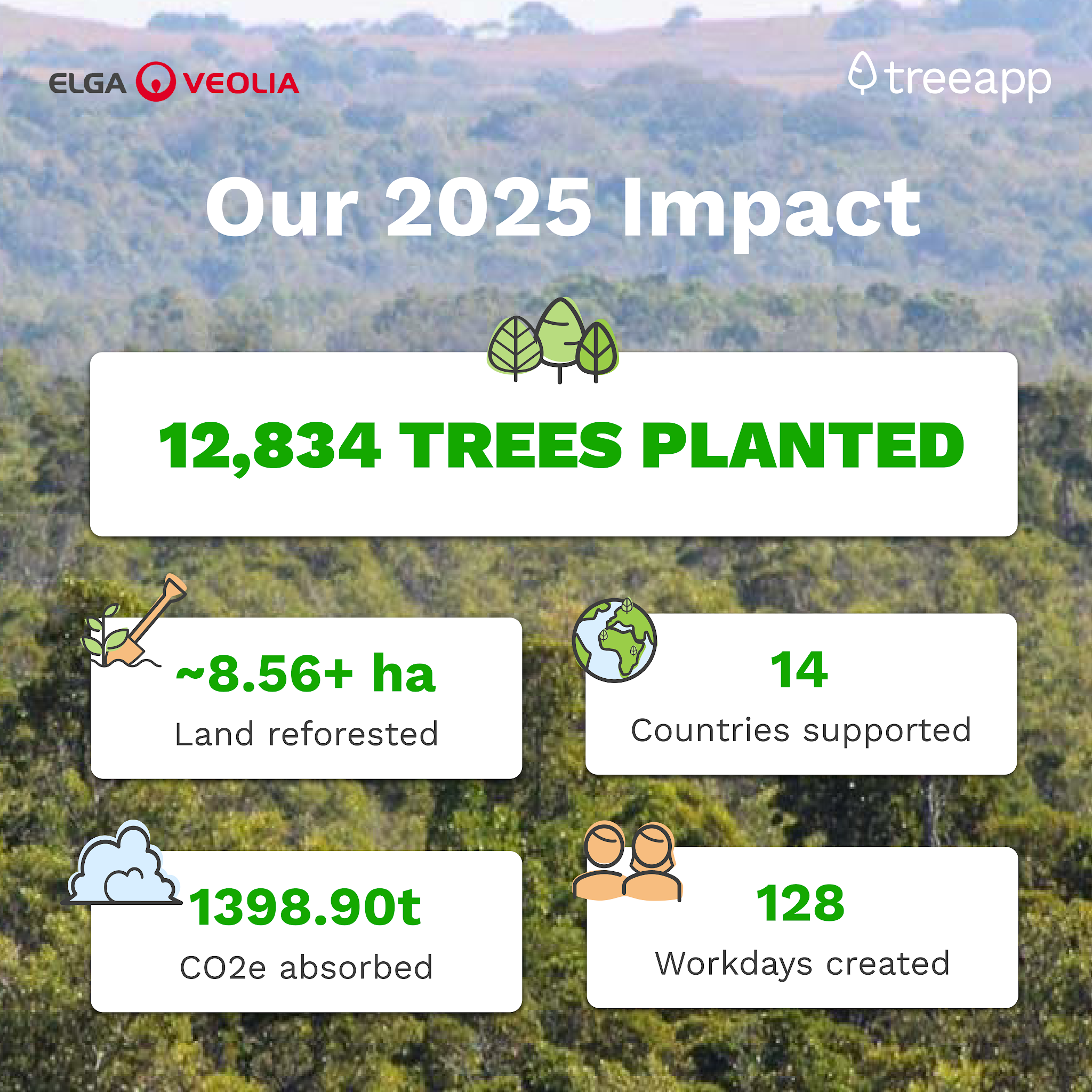 reforestation