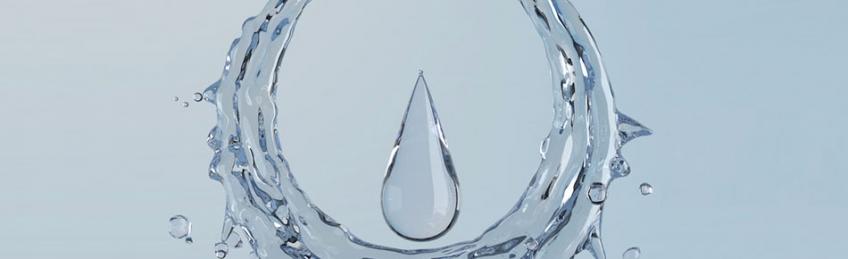 About ELGA LabWater