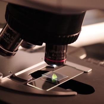 microscope nanomaterials to improve drug delivery