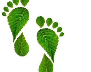 Green Footprint