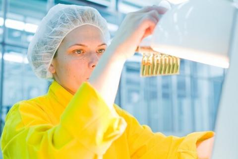 Verwendung von Reinstwasser in Antibiotika-Tests