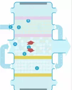 Elektroentionisierung