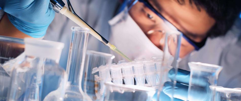lab work chemical changes lab work chemical changes